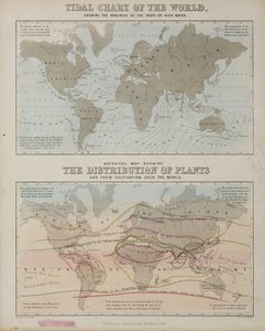 Gelgit grafiği ve bitkilerin dünyadaki dağılımının bir haritası, c 1850 by John Pardon