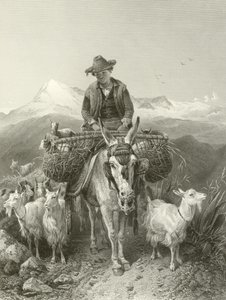 Granada keçi çobanı by Richard Ansdell