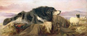 Çoban Köpeği by Richard Ansdell