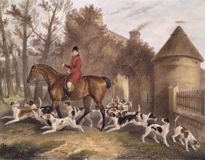 W. Sebright, Milton Hounds