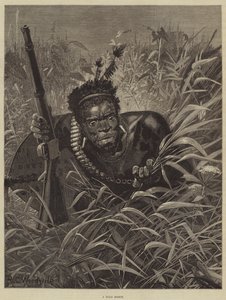 Bir Zulu İzci