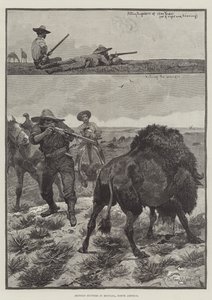Montana, Kuzey Amerika