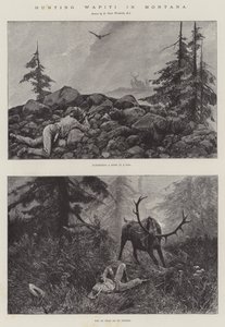 Montana