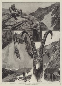 Ibex-Shooting in the Himalayas engraving