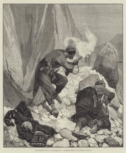 Hersek