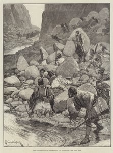 Hersek