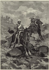 Transvaal