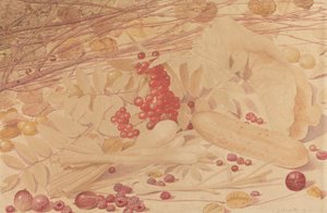 Bektaşi Üzümü, Ahududu, Kırmızı Kuş Üzümü, Taze Soğan, Salatalık ve Yeşillik ile Natürmort by Richard Dadd