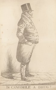 Bay Bowden; Papatya ilaç mıdır by Richard Dighton