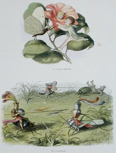 Dans Eden Bir Kelebek ve Turnuva, William Allingham ve Andrew Lang