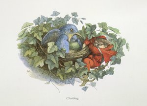 Tırmanmak by Richard Doyle