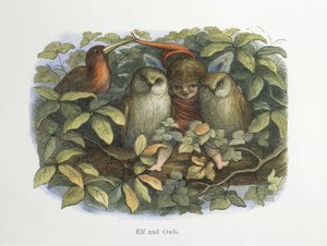 Elf ve baykuşlar by Richard Doyle