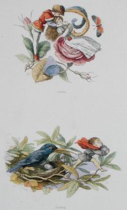 Flört Etme ve Çalma, William Allingham ve Andrew Lang