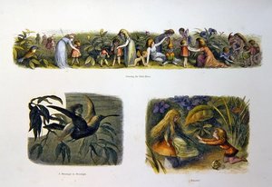 Peri Diyarında by Richard Doyle
