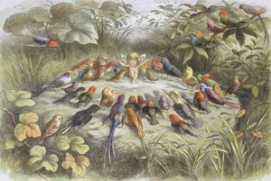 Peri diyarında müzik provası (illüstrasyon William Allingham ve Andrew Lang#39;in quot;Peri diyarında. Peri dünyasından resimlerquot; kitabından)