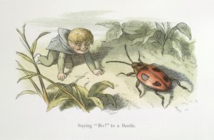 Hayır demek! bir böceğe by Richard Doyle