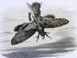 Un elfe chevauchant ve papillon. ""Peri diyarında Richard Doyle ile ilgili illüstrasyon. Elf dünyasından bir dizi resim"" W Allingham