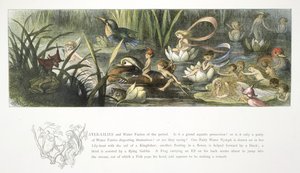 Nilüferler ve nilüferler by Richard Doyle