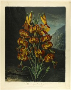 Flora Tapınağı