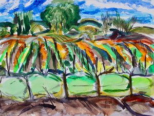 Sonbahar Üzüm Bağları, Napa, 2017 by Richard Fox