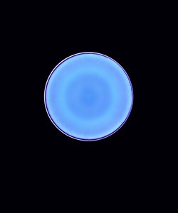 Circle X, 2005 (dijital c-tipi fotogram)