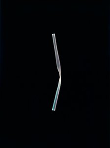 İsimsiz, 2004 (benzersiz c-tipi fotogram)
