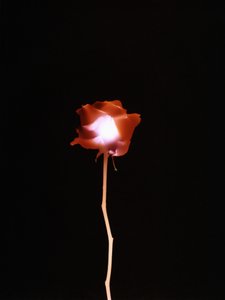 İsimsiz, 2007 by Richard Green