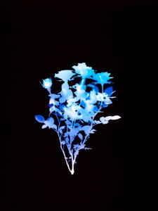 İsimsiz, 2008 by Richard Green