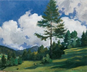 Dobbiaco yakınındaki motif by Richard Harlfinger