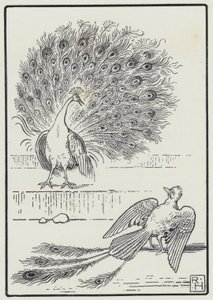 Jay ve Tavus Kuşu (gravür)