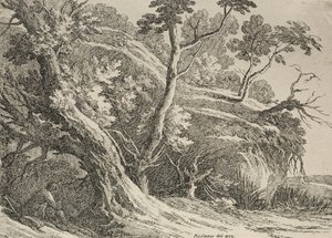 Poliotografi Örnekleri: Bir Meşe Altında Oturan Adam, 1802. by Richard II Cooper
