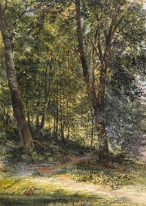 Sun Dappled Woods, Surrey (suluboya ve gövde rengi) by Richard Redgrave