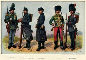 Belçika Ordusu, 1919 Türleri.