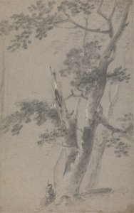 Bir Ağacın Altında Oturan Çoban by Richard Wilson