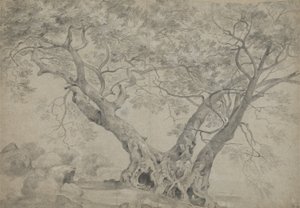Nemi Gölü kıyısındaki Arbra Sacra, c.1754-56 (kağıt üzerinde siyah beyaz tebeşir) by Richard Wilson