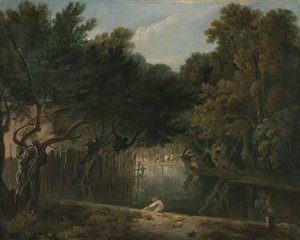 St. James's Park'taki Vahşi Doğanın Görünümü