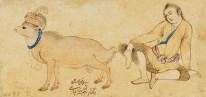 Genç bir adam ve bir koçun incelenmesi, 1630-31 veya sonrası