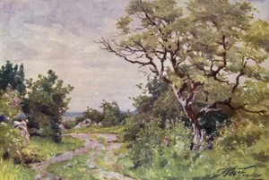 Tarla Yolu, Llanrug yakınında (renkli taş)