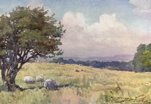 Sunny Field, Llanberis yakınında (renkli taş) by Robert (after) Fowler