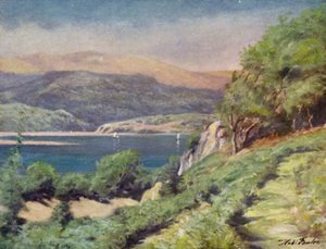 Dolgelly yakınlarında Gök Gürültülü Hava (renkli taş)
