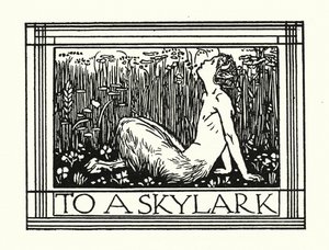 Shelley: Bir Tarlakuşuna (taş baskı) by Robert Anning Bell