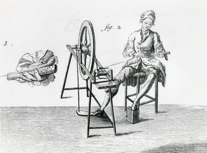 Rustik ekonomi, pamuk, Ansiklopediden Denis Diderot 1713-84 gravür bw fotoğraf detayı 164438 by Robert Benard