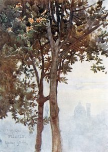  by Robert Charles Goff
