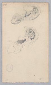 Ayakkabı by Robert Frederick Blum