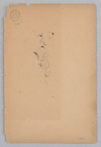 Kadın by Robert Frederick Blum
