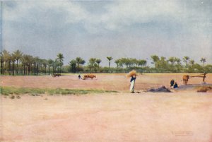 Esbet-El-Ekiad - Goşen Ülkesi, c1880, 1904