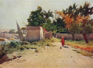 Rhoda Adası