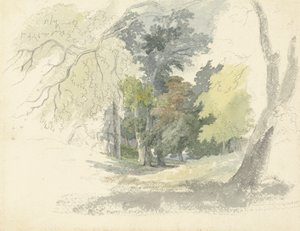 Bir Orman Kayranı by Robert Hills