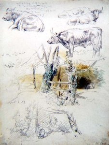 Sığır Çalışmaları by Robert Hills