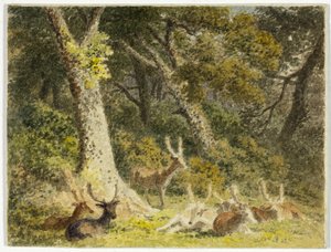  by Robert Hills